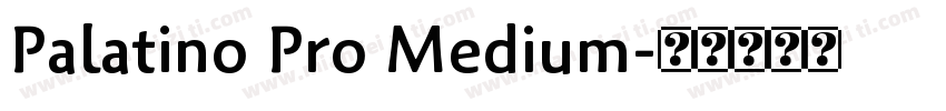 Palatino Pro Medium字体转换